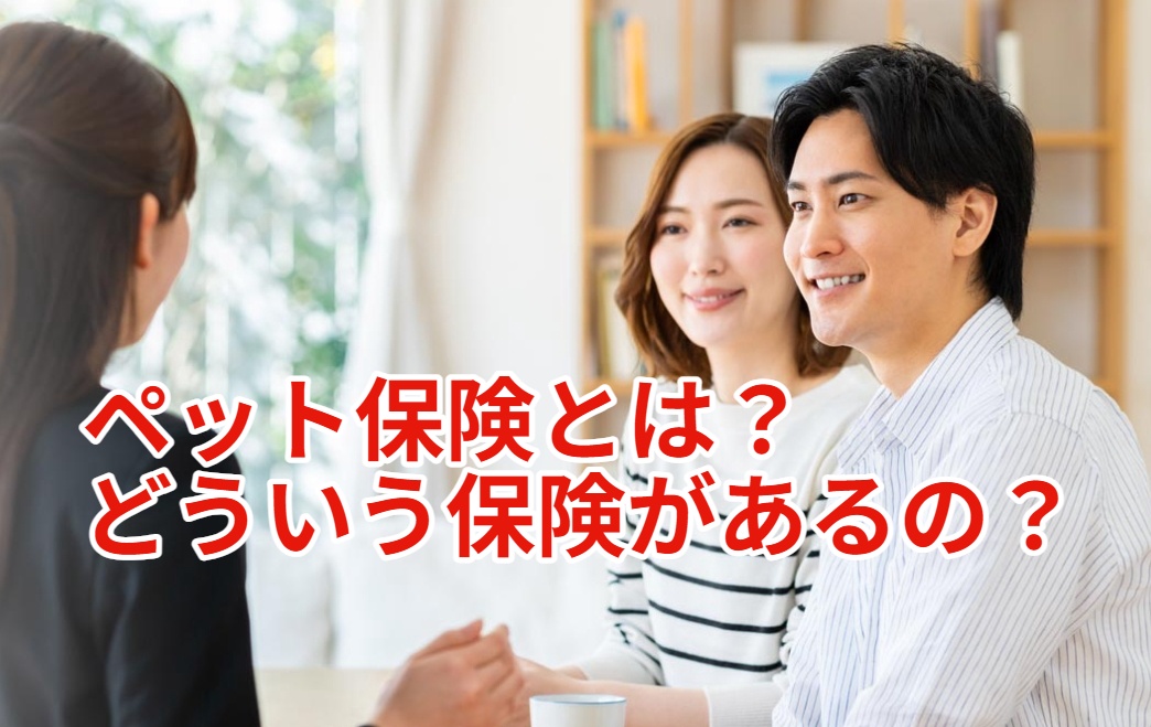 コラム-4513